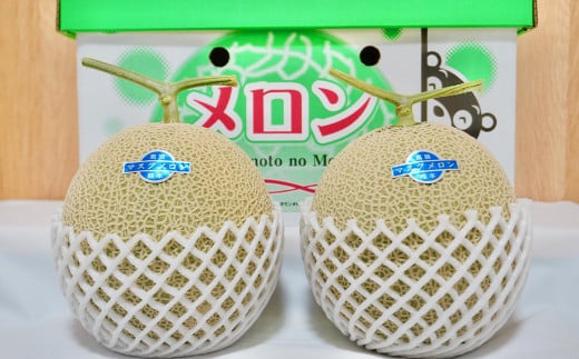 【生産者直送】☆夏作☆ マスクメロン 2玉 合計約3.2kg以上 【2025年7月上旬発送開始】 フルーツ くだもの 果物 メロン めろん 熊本県産