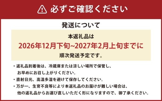 熊本県産晩白柚 1玉（約1kg）【2026年12月下旬発送開始】 熊本県産 国産 晩白柚 おやつ 果物 果実 フルーツ 1kg 1玉