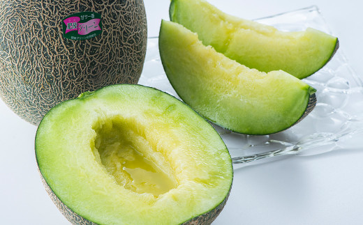 熊本県産 肥後グリーンメロン 1玉 1.6kg以上 【2026年5月上旬発送開始】 グリーンメロン メロン フルーツ 果物 くだもの 国産