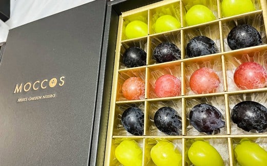 MOCCOS （ぶどう多品種20粒入り） 【2026年8月上旬上旬発送開始】 ぶどう フルーツ 果実 粒 食べ比べ デザート 贈り物 冷蔵 熊本県