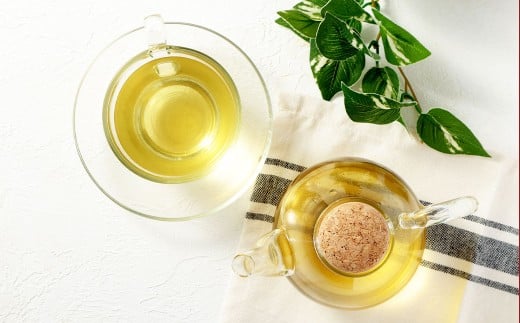 熊本県産 モリンガティー 20包 ／ モリンガ茶 モリンガ ティー お茶 茶 健康茶