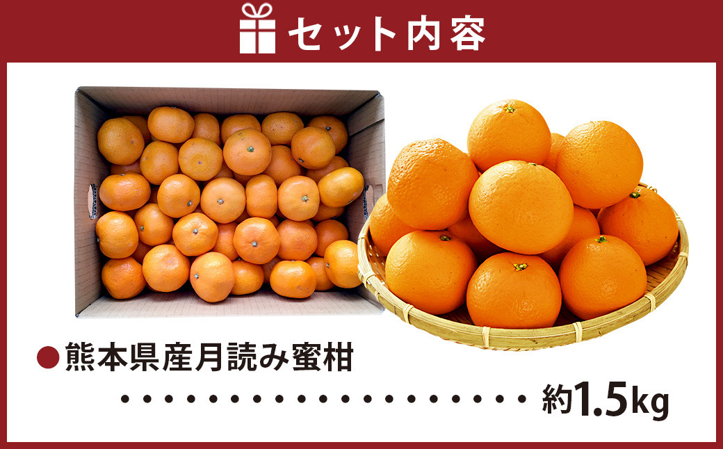 【2024年11月下旬発送開始】にしだ果樹園の熊本県産月読み蜜柑 約1.5kg