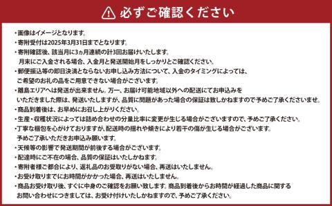 【2025年1月～4月より3か月連続発送】熊本便り！旬の柑橘堪能定期便