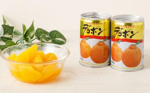 デコポン 缶詰 (ご家庭用) 300g×12缶 合計3.6kg でこぽん 缶詰め 常温保存