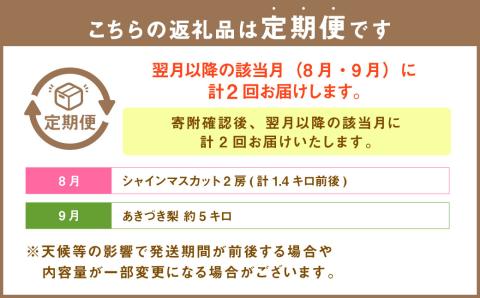 【秋の2ヵ月連続定期便】 熊本県産 旬のフルーツ ( 梨 約5kg・ シャインマスカット 2房 ) 定期便 なし マスカット 果物 くだもの
