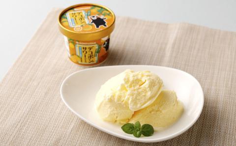 デコポンサワーアイスと九州ミルク&チョコチップのアイス 110ml×18個セット  2種 アイス デザート スイーツ デコポンサワー ミルクアイス カップ