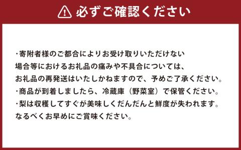 【2023年8月下旬発送開始】熊本県産 あきづき梨 約2kg 5～6玉入り 梨 なし ナシ フルーツ 果物