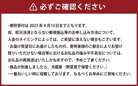 【2023年8月下旬発送開始】熊本県産 シャインマスカット 2房 約1.2kg前後 マスカット フルーツ 果物