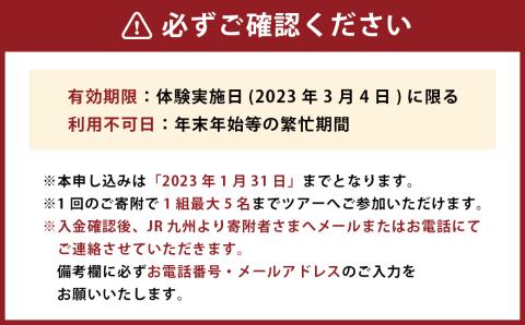 【2023年3月4日開催】新幹線ラッピング体験＆お絵描き 1組 最大5名 新幹線 鉄道 800系 体験型 チケット アクティビティ