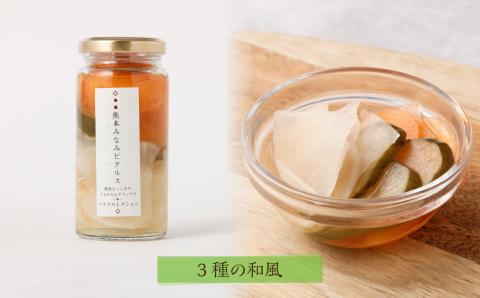 【熊本みなみピクルス】野菜好きな方におすすめ4本セット