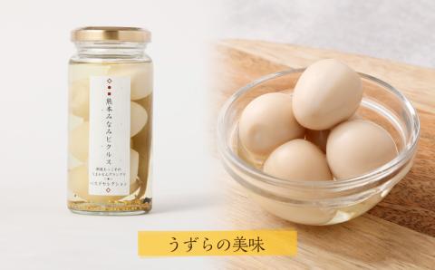 【熊本みなみピクルス】特撰ギフト桐箱3本セット