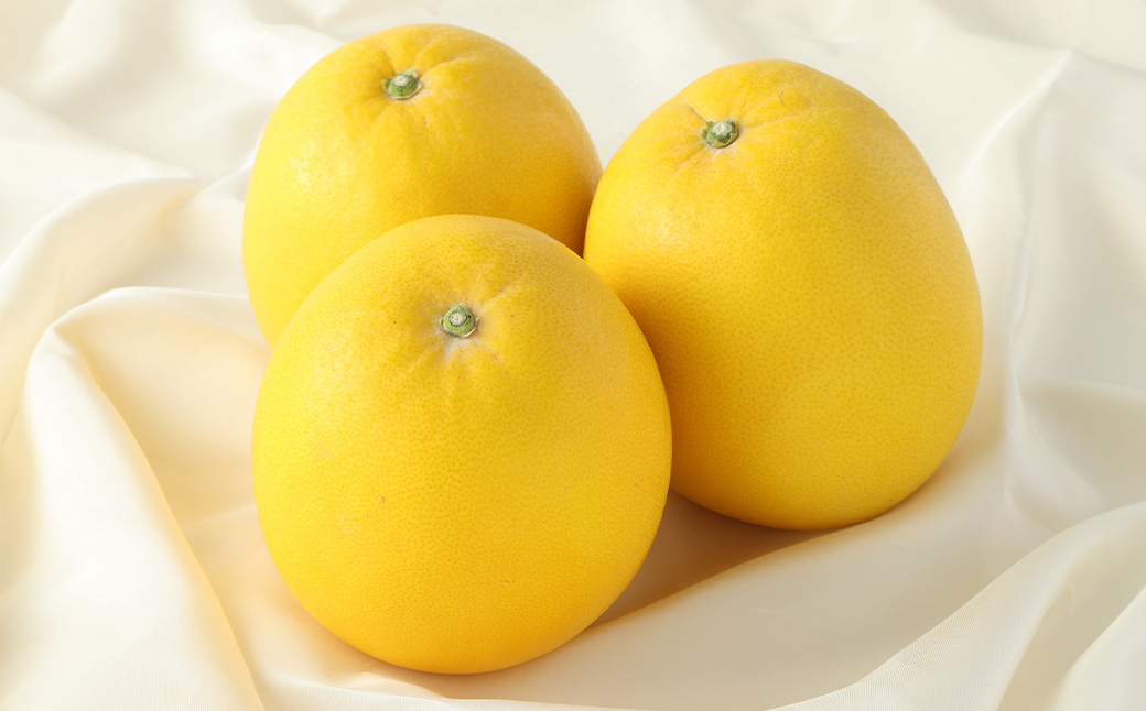 ぽめろまん 大玉 6個入り 【2025年1月下旬発送開始】