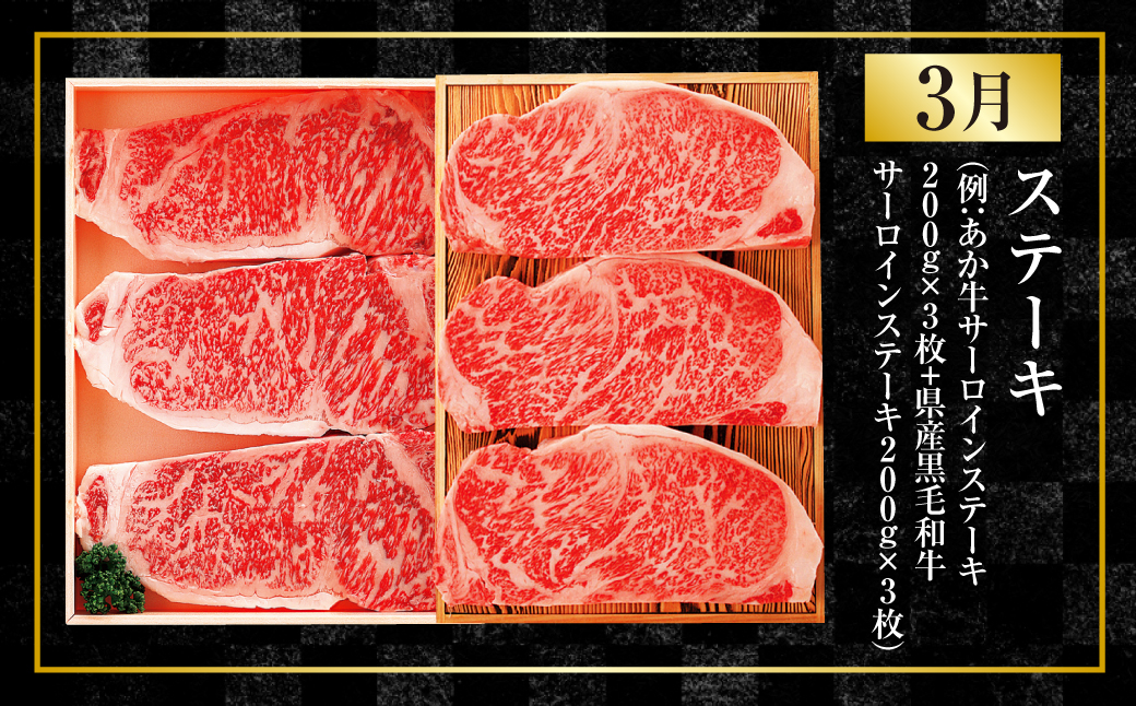 【年4回定期便】くまもと肉の極み定期便③ 食べ比べ あか牛 赤牛 くまもとあか牛 黒毛和牛 和牛 定期便 熊本県産 肉 お肉 牛肉 牛 国産