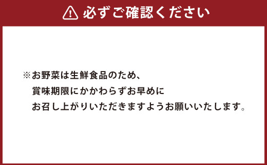 阿蘇の恵みセットC 季節の野菜や果物5～7品 ベーコン ハム ソーセージ ヨーグルト 牛乳