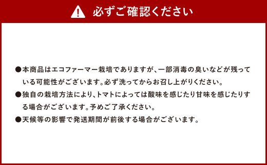 ソムリエ ミニトマト ダイヤ 3kg とまと トマト 野菜 やさい 熊本県産 国産 【2024年12月上旬発送開始】