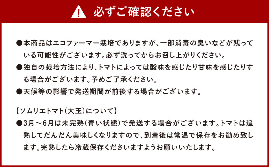 【 食べ比べ 】ソムリエ トマト1.3kg と ソムリエ ミニトマト プラチナ500g とダイヤ 500g の セット 合計 2.3kg 3種 とまと 野菜 やさい 熊本県産 国産 【2025年2月上旬発送開始】