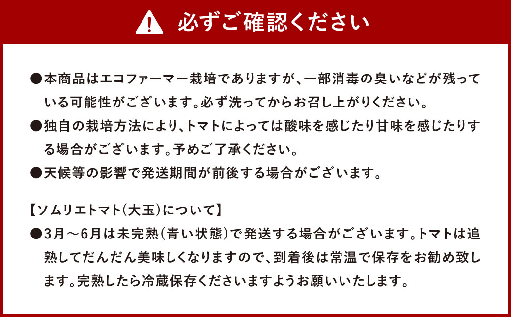 【 食べ比べ 】ソムリエ トマト 1.3kg と ソムリエ ミニトマト プラチナ 1kg の セット 合計2.3kg 2種 とまと 野菜 やさい 熊本県産 国産 【2025年2月上旬発送開始】