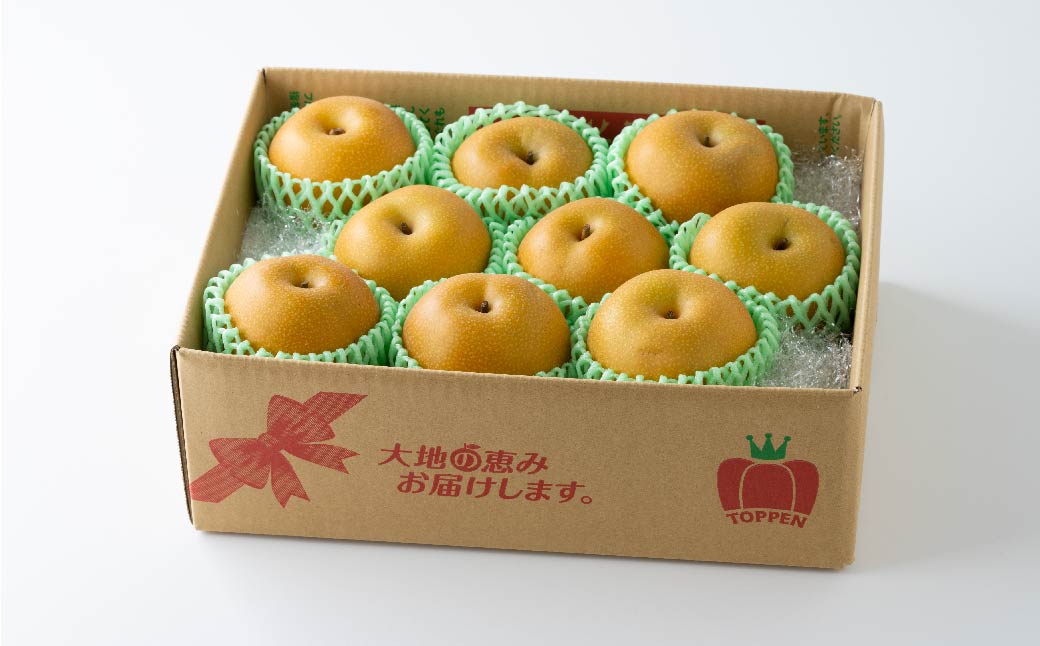 【年3回定期便】【2024年7月下旬発送開始】 くまもとの 梨 食べ比べ 定期便 約3kg×3回 合計約9kgナシ フルーツ くだもの 果物