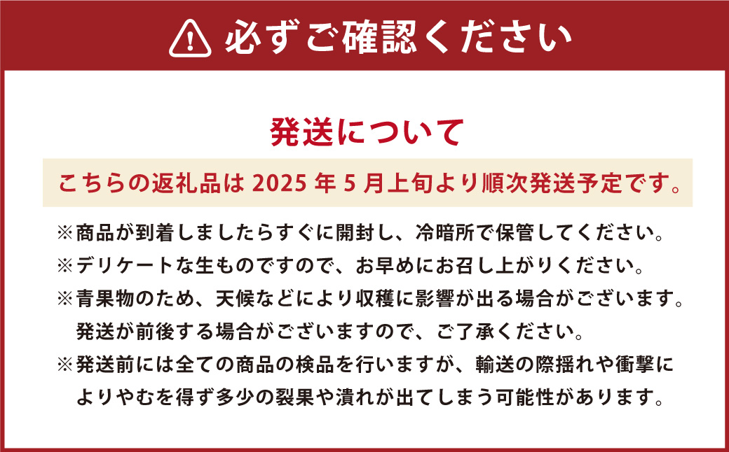 熊本県産 肥後グリーンメロン 1玉 1.6kg以上 【2025年5月上旬発送開始】 グリーンメロン メロン フルーツ 果物 くだもの 国産