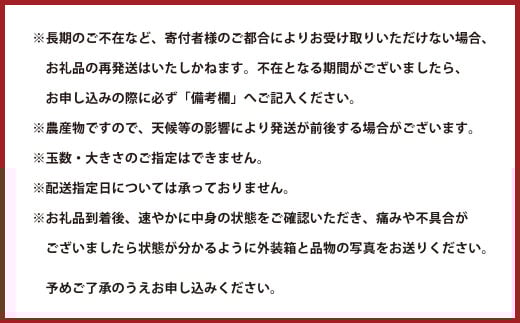 熊本県産 さがほのか 約2kg いちご 苺 イチゴ 【2025年2月上旬発送開始】