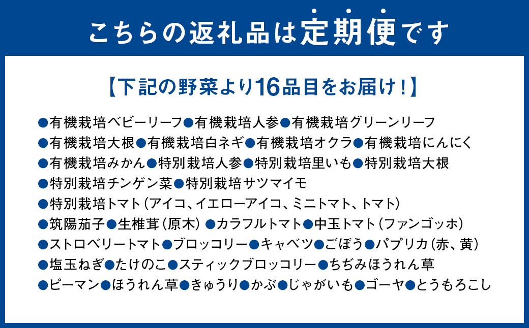 【12か月連続定期便】熊本季節の野菜セット 16品目 ｜ やさい 野菜 季節 旬 新鮮 定期便 熊本県 国産