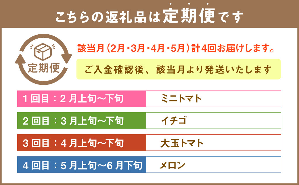 【年4回定期便】熊本の魅力たっぷり、特別な定期便 熊本県産 ミニトマト 約3kg イチゴ 250g×2パック 約500ｇ 大玉トマト 約3.5㎏ メロン 2玉【2026年2月上旬発送開始】4種 フルーツ くだもの 果物 やさい 野菜
