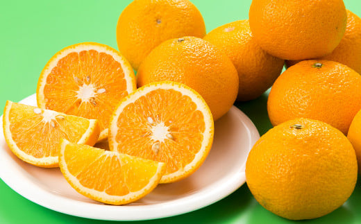 熊本県産 スイートスプリング 約4kg