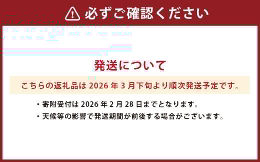 デコポン および 熊本県産 季節の柑橘 約3kg 約10～11玉 清見 柑橘 みかん 蜜柑 フルーツ くだもの 果物 【2026年3月下旬発送開始】