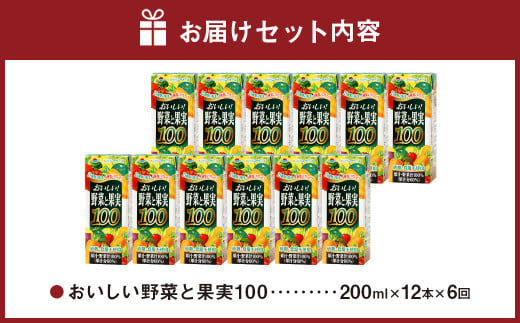 【6か月連続定期便】おいしい野菜と果実 200ml×12本×6回 合計72本 合計14.4L 果汁100% 野菜 果実 フルーツ ジュース フルーツジュース 常温 飲料 熊本県 らくのうマザーズ