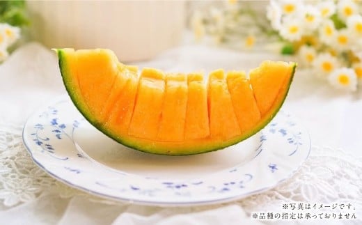 『まるで果物の王様！贅沢メロン』 2玉セット 1箱 熊本県産 【2026年1月下旬発送開始】フルーツ くだもの 果物 メロン 果実 果肉 おやつ 国産