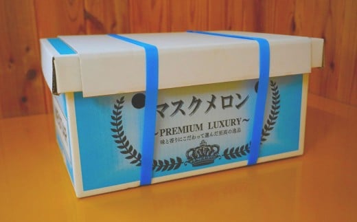 【生産者直送】☆秋作☆ マスクメロン 2玉 合計約3kg以上 【2026年10月上旬発送開始】 フルーツ くだもの 果物 メロン めろん 熊本県産