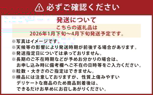 『まるでデザートのような甘～い、高級塩トマト』 約2.5kg 1箱 熊本県産 【2026年1月下旬発送開始】 野菜 やさい トマト とまと 塩トマト