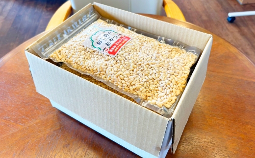 おこめのおやつ 大袋 4袋セット おこめ 米 コメ お米 おかし おやつ お菓子 お砂糖不使用 無添加 国産 熊本県産