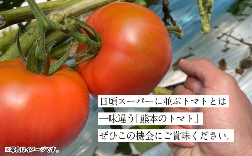 『まるで太陽の恵みをそのまま閉じ込めたような真っ赤な大玉トマト』約3.5kg 1箱 （熊本県産） 【2026年1月下旬発送開始】 野菜 やさい トマト とまと 大玉トマト