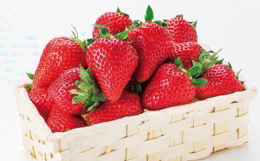 ゆうべに ( いちご ) 250g × 10パック 合計 2.5kg 【2026年2月上旬発送開始】