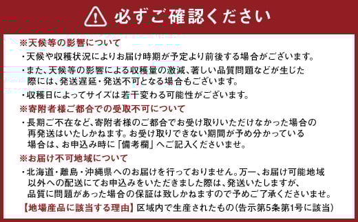 熊本県産 朝掘り 筍 約4kg 【2026年4月上旬発送開始】 たけのこ タケノコ 野菜