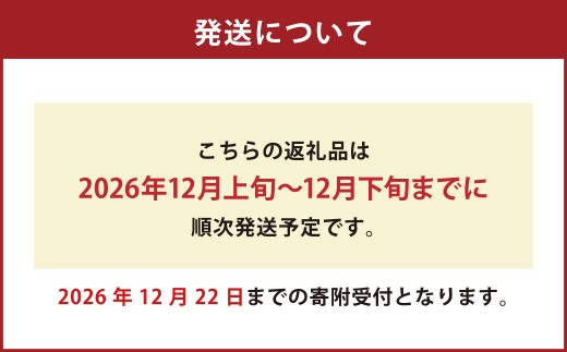 【2026年12月上旬発送開始】ゆく年＆くる年セット8食入りつゆ付