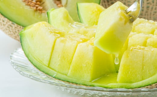 熊本県産 アールスメロン 1玉 1.6kg以上 【2026年5月上旬発送開始】 グリーンメロン メロン フルーツ 果物 くだもの 国産