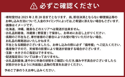 熊本県産いちご 恋みのり2キロ（8パック） 【2026年2月上旬発送開始】