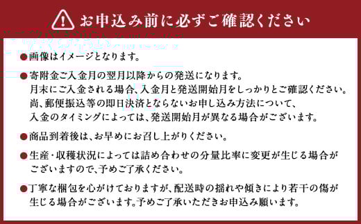 【6か月隔月定期便】旬の熊本フルーツ詰め合わせ定期便 熊本県産 果物 毎月お届けギフト