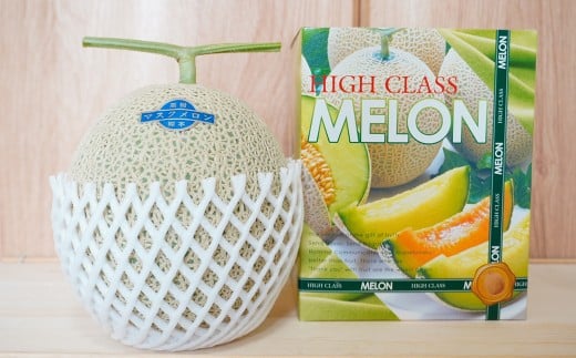 【生産者直送】☆夏作☆ マスクメロン 1玉 約1.6kg以上 【2026年7月上旬発送開始】 フルーツ くだもの 果物 メロン めろん 熊本県産