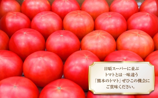 太陽の恵みを閉じ込めた真っ赤な大玉トマト2kg（熊本県産） 【2026年1月下旬発送開始】 甘い 真っ赤 野菜 やさい 爽やか フルーツトマト とまと 国産 常温
