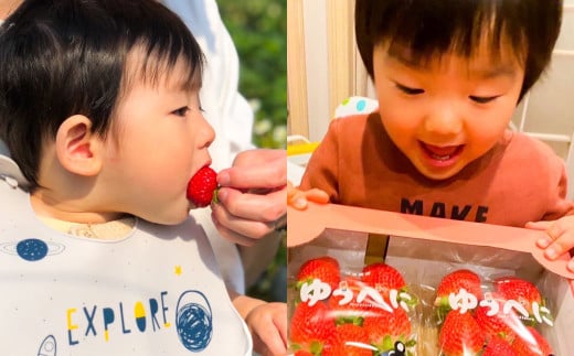 『まるでお姫様のような高級大粒いちご』 大粒いちご 250g×2パック 約500g 1箱 （ゆうべにまたは恋みのり） 熊本県産 【2026年1月下旬発送開始】 フルーツ くだもの 果物 イチゴ 苺 いちご ゆうべに 恋みのり おやつ 国産