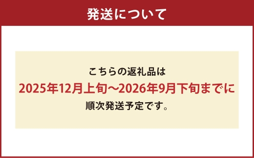 【 令和7年度産 】 熊本県産塩栽培米ヒノヒカリ 5kg 国産 熊本県産 お米 米 コメ ご飯 白米 ヒノヒカリ 塩栽培米 塩栽培 【 2025年12月上旬発送開始 】