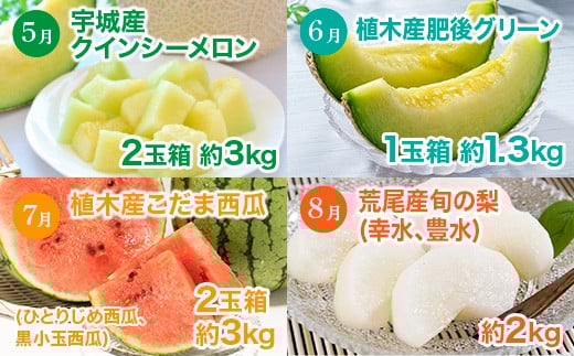 【 6か月 連続 定期便 】 熊本県 フルーツ 6ヶ月 定期便 果物 くだもの 旬 いちご 柑橘 スイカ メロン 柿 梨