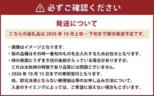 熊本県産 秋の梨・太秋柿セット 各3～4玉 合計6～8玉 【2026年10月上旬発送開始】 果物 フルーツ 梨 なし 柿 かき 旬 旬のフルーツ