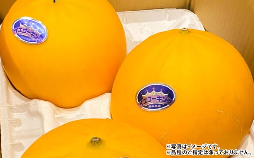 『まるで果物の王様！贅沢メロン』 2玉セット 1箱 熊本県産 【2026年4月下旬発送開始】フルーツ くだもの 果物 メロン 果実 果肉 おやつ 国産