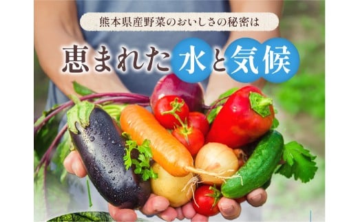 熊本県 10品目 野菜 セット フレッシュ 新鮮 野菜 青果 サラダ おまかせ お任せ 厳選 お楽しみ ランダム 冷蔵