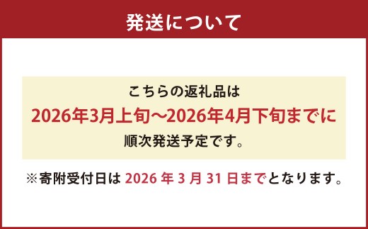 にしだ果樹園の熊本県産月読み ブラッドオレンジ 約2kg オレンジ 柑橘 みかん 蜜柑 フルーツ 果物 くだもの 【2026年3月上旬発送開始】