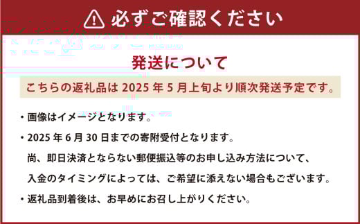 熊本県産 大玉スイカ1玉と肥後グリーンメロン1玉 合計2玉 【2025年5月上旬発送開始】 果物 フルーツ 大玉 スイカ 青肉 メロン